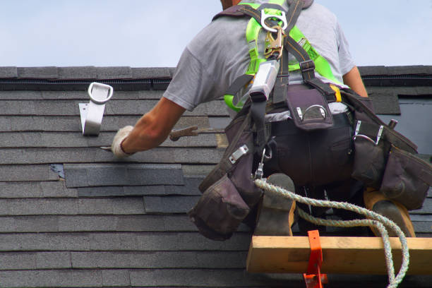 Best Roof Gutter Cleaning  in Strasburg, VA